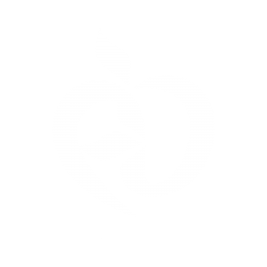 ستاره حسینی